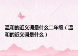 温和的近义词是什么二年级（温和的近义词是什么）