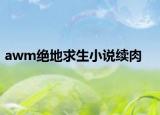 awm绝地求生小说续肉