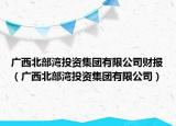 广西北部湾投资集团有限公司财报（广西北部湾投资集团有限公司）