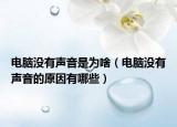 电脑没有声音是为啥（电脑没有声音的原因有哪些）