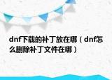 dnf下载的补丁放在哪（dnf怎么删除补丁文件在哪）