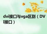 dvi接口与vga区别（DVI接口）