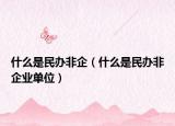 什么是民办非企（什么是民办非企业单位）