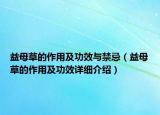 益母草的作用及功效与禁忌（益母草的作用及功效详细介绍）