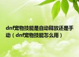 dnf宠物技能是自动释放还是手动（dnf宠物技能怎么用）