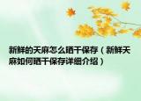 新鲜的天麻怎么晒干保存（新鲜天麻如何晒干保存详细介绍）