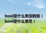 bool是什么类型数据（bool是什么意思）