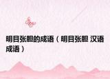 明目张胆的成语（明目张胆 汉语成语）