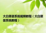 大白菜装系统视频教程（大白菜装系统教程）
