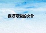 夜奴可爱的女仆