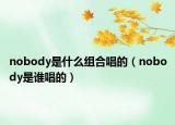nobody是什么组合唱的（nobody是谁唱的）