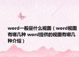 word一般是什么视图（word视图有哪几种 word提供的视图有哪几种介绍）