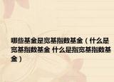 哪些基金是宽基指数基金（什么是宽基指数基金 什么是指宽基指数基金）