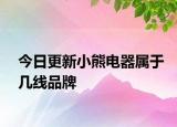 今日更新小熊电器属于几线品牌