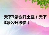 天下3怎么开土豆（天下3怎么升级快）