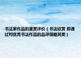 书法家作品的鉴赏评价（书法欣赏 即通过对优秀书法作品的品评领略其美）