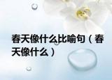 春天像什么比喻句（春天像什么）