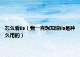 怎么看iis（我一直想知道iis是肿么用的）