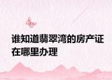 谁知道翡翠湾的房产证在哪里办理