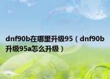 dnf90b在哪里升级95（dnf90b升级95a怎么升级）