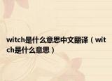 witch是什么意思中文翻译（witch是什么意思）