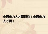 中国电力人才网职称（中国电力人才网）