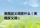美观反义词是什么（美观反义词）