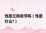 性是三拼音节吗（性是什么?）