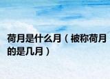 荷月是什么月（被称荷月的是几月）