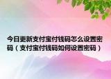 今日更新支付宝付钱码怎么设置密码（支付宝付钱码如何设置密码）