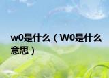 w0是什么（W0是什么意思）