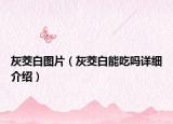 灰茭白图片（灰茭白能吃吗详细介绍）
