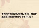 微信群群主删除并退出群还在吗（微信群主删除并退出群还在吗 会怎样介绍）