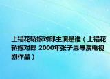 上错花轿嫁对郎主演是谁（上错花轿嫁对郎 2000年张子恩导演电视剧作品）