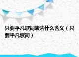 只要平凡歌词表达什么含义（只要平凡歌词）