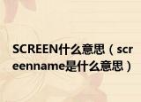 SCREEN什么意思（screenname是什么意思）