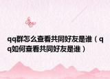 qq群怎么查看共同好友是谁（qq如何查看共同好友是谁）