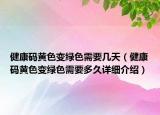 健康码黄色变绿色需要几天（健康码黄色变绿色需要多久详细介绍）