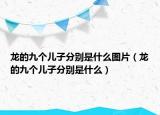 龙的九个儿子分别是什么图片（龙的九个儿子分别是什么）