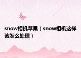 snow相机苹果（snow相机这样该怎么处理）