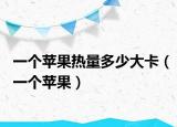 一个苹果热量多少大卡（一个苹果）