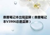 惠普笔记本出现蓝屏（惠普笔记本V3906总是蓝屏）