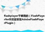 flashplayer干嘛用的（FlashPlayerforIE还是安装AdobeFlashPlayerPlugin）