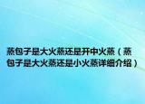 蒸包子是大火蒸还是开中火蒸（蒸包子是大火蒸还是小火蒸详细介绍）