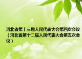 河北省第十三届人民代表大会第四次会议（河北省第十二届人民代表大会第五次会议）