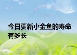 今日更新小金鱼的寿命有多长