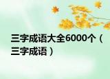 三字成语大全6000个（三字成语）