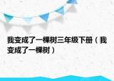 我变成了一棵树三年级下册（我变成了一棵树）