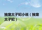 独宠太子妃小说（独宠太子妃）
