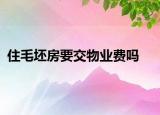 住毛坯房要交物业费吗